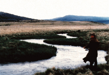 trout fishing in the Snowy Mountains