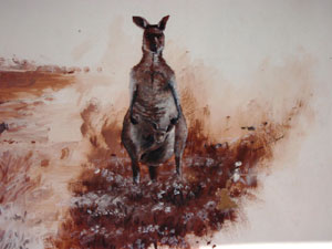 kangaroo