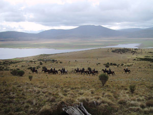 Open plains of Kosciuszko NP